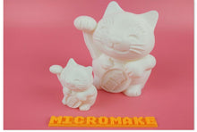 Micromake 3D Printer C1